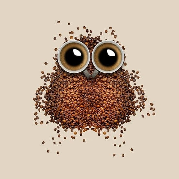 23 interesting facts about coffee