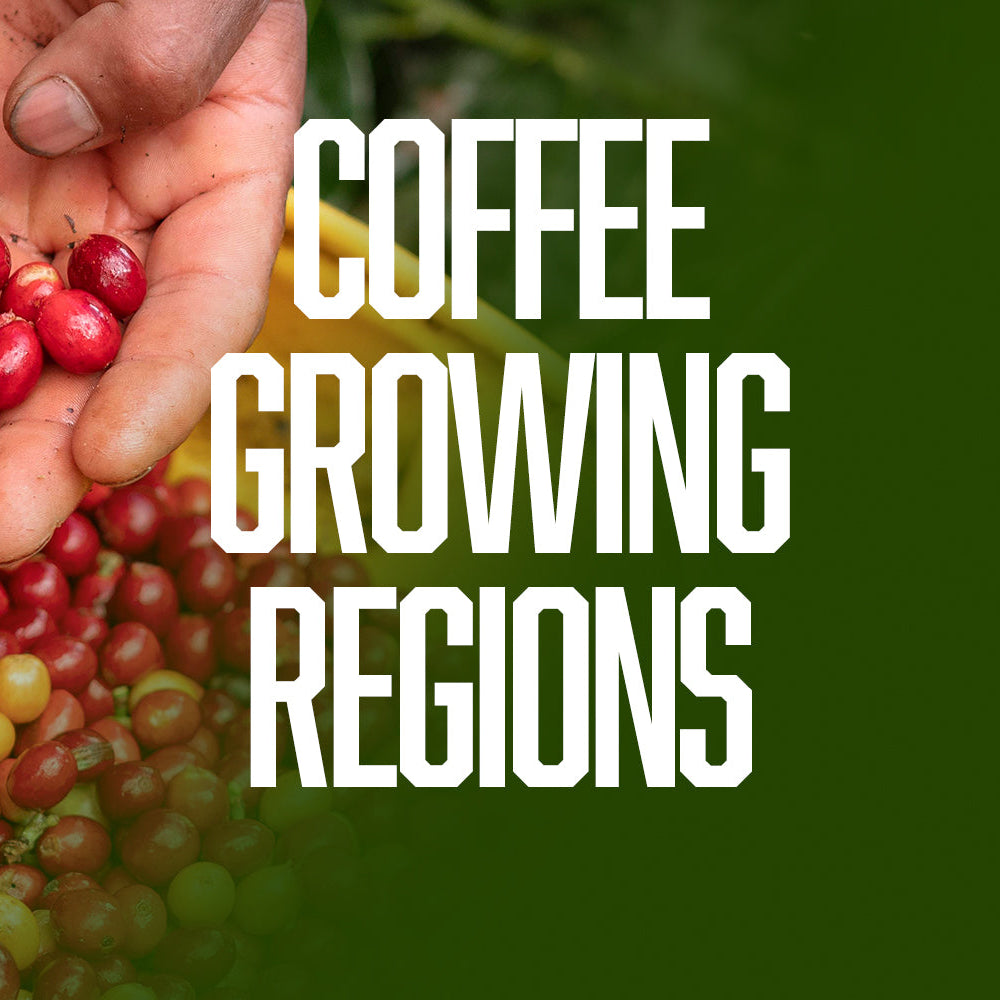 Coffee Growing Regions and What You Taste in the Cup