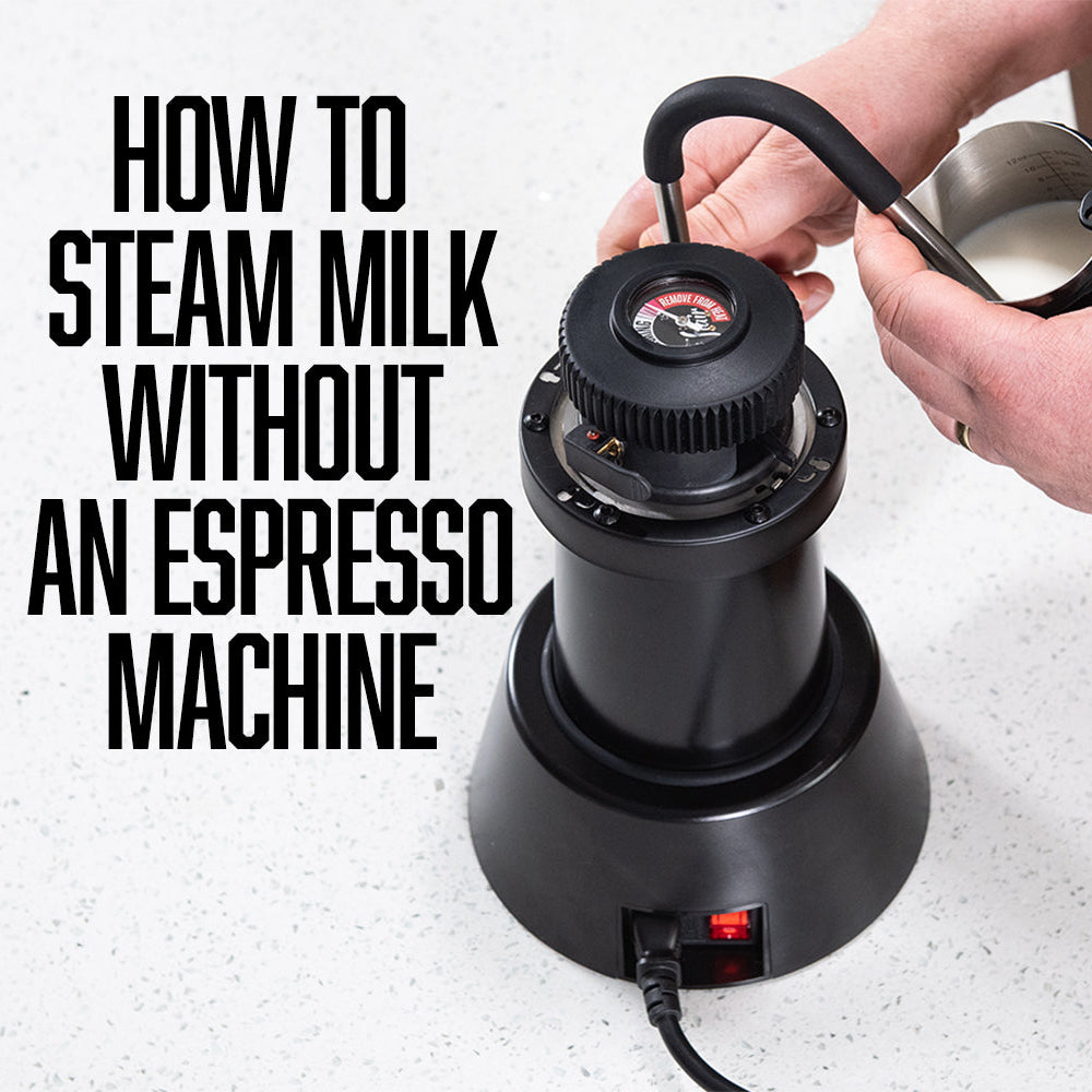 How to Steam Milk Without an Espresso Machine