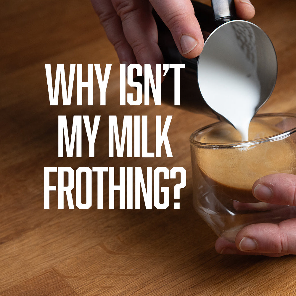 Why Isn't My Milk Frothing? Troubleshooting Microfoam for Latte Art
