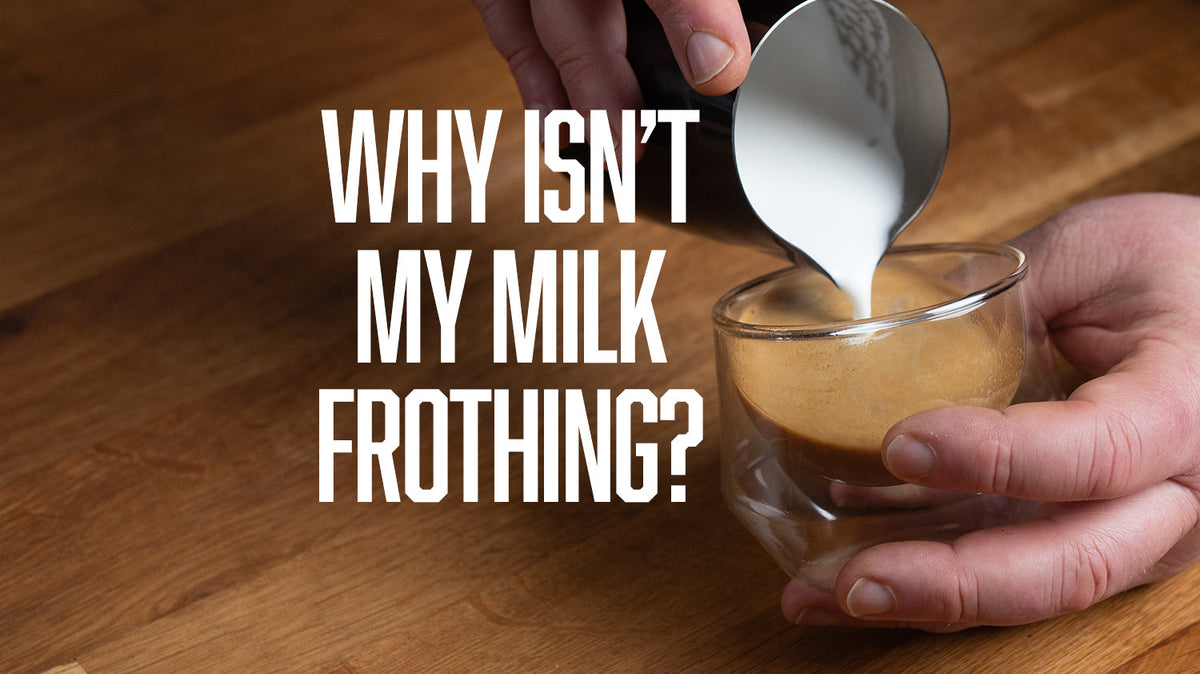 Why Isn't My Milk Frothing? Troubleshooting Microfoam for Latte Art