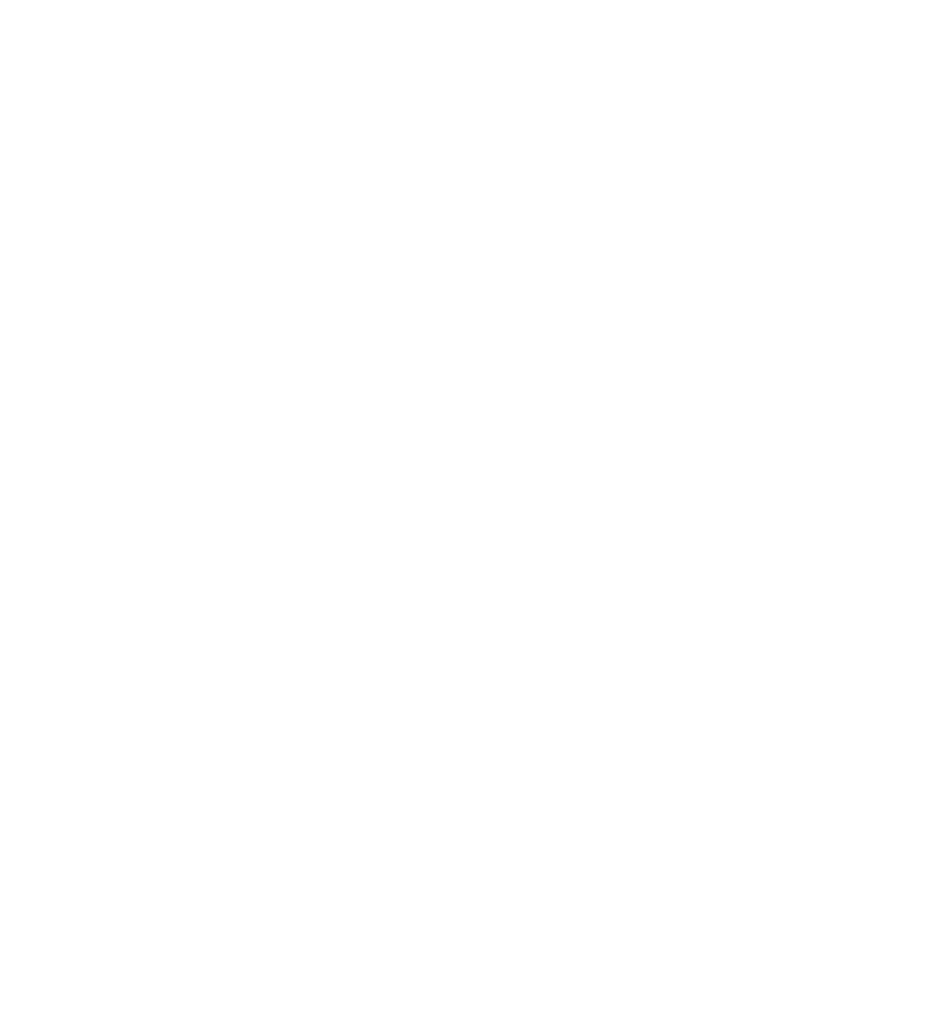 Flair 58+