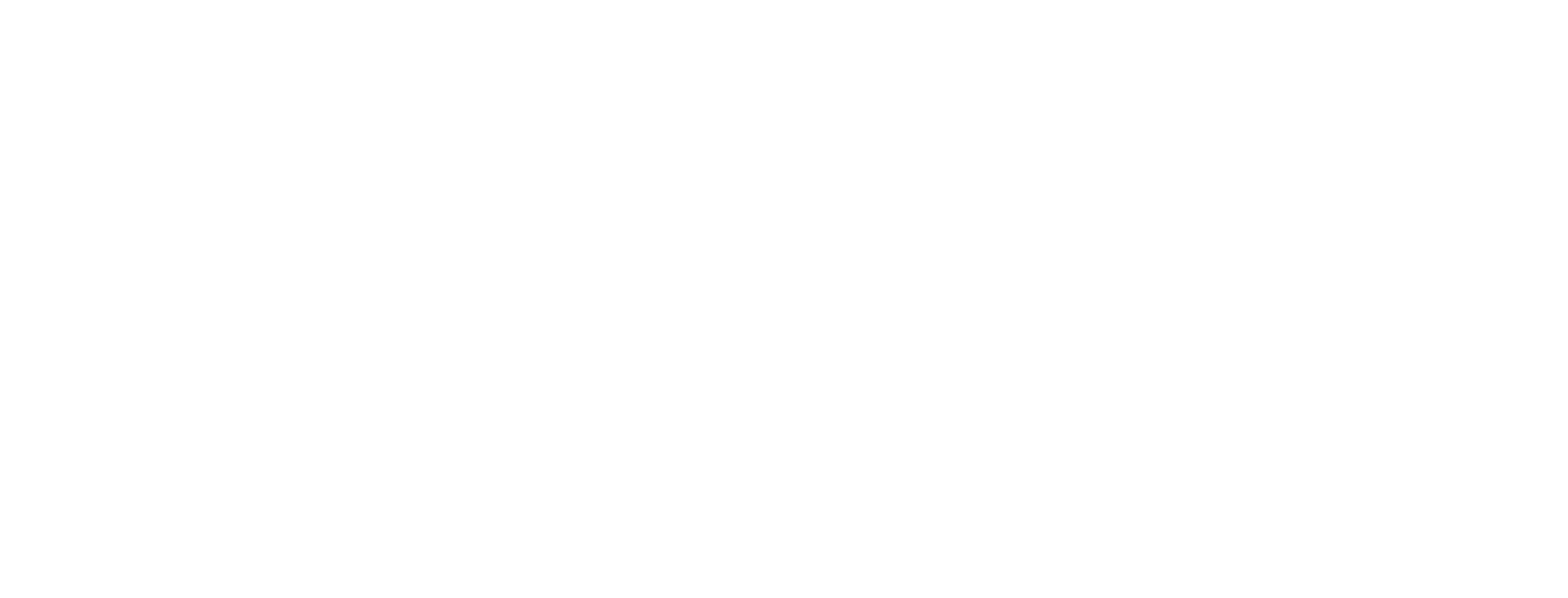 Flair PRO 3 Logo